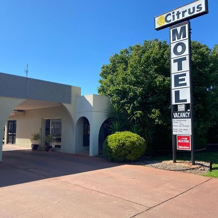 Citrus Motel Griffith Eksteriør billede