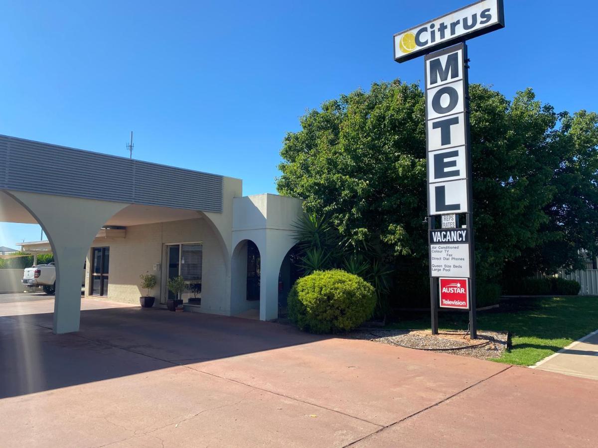 Citrus Motel Griffith Eksteriør billede